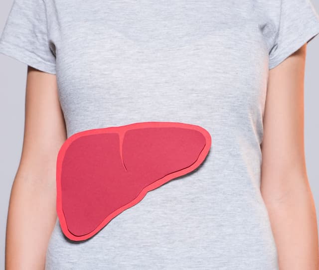 Alcoholic's Liver - Alcoholic Liver Disease