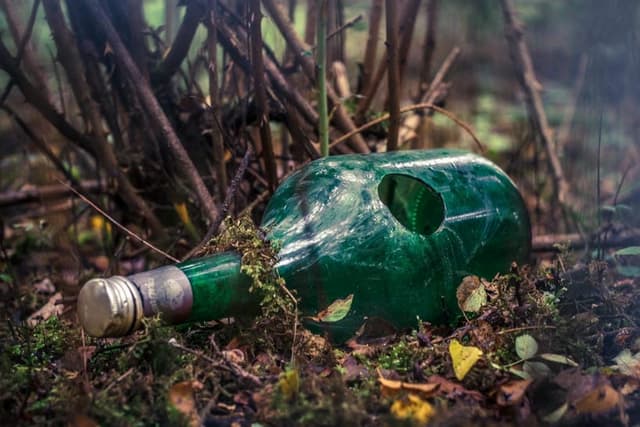 Phases and Stages of Alcoholism - What Does the Development of Alcohol Disease Look Like