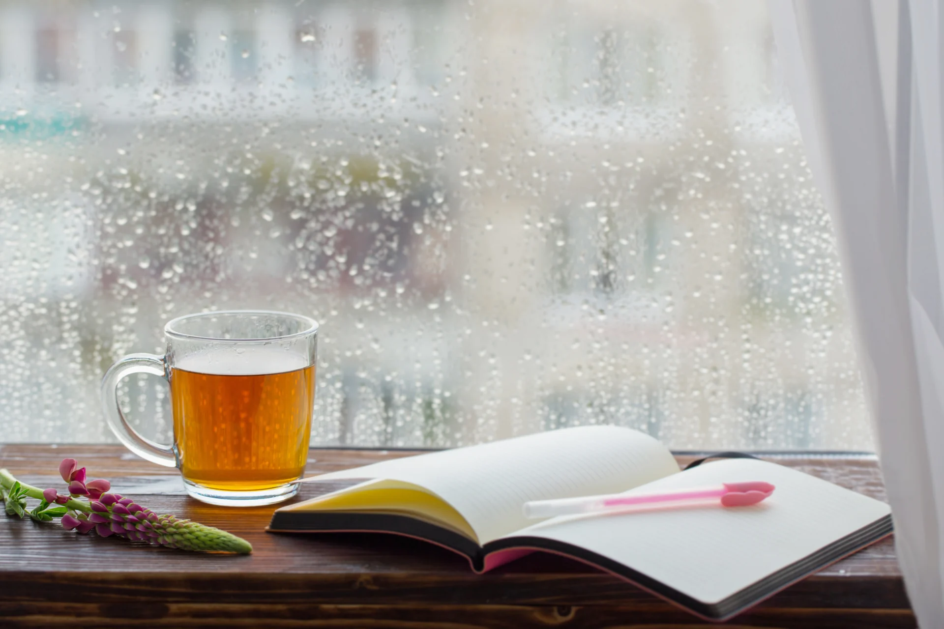 Stimmung nach dem Rauchstopp Ein Glas Tee und ein aufgeschlagenes Notizbuch auf einer Fensterbank, draußen regnet es