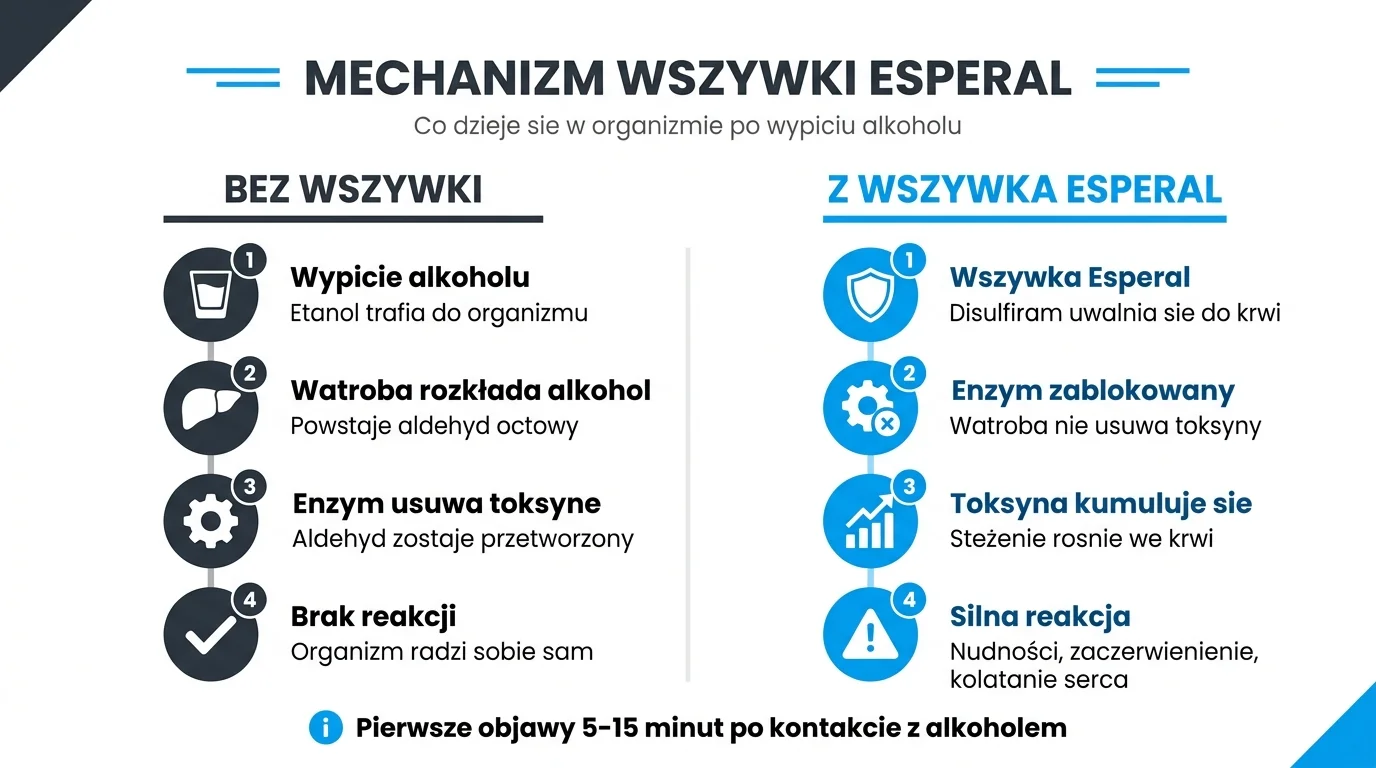 Mechanizm działania Disulfiramu w wszywce alkoholowej Esperal - porównanie metabolizmu alkoholu bez wszywki (etanol, dehydrogenaza aldehydowa, kwas octowy, brak objawów) z metabolizmem przy aktywnym implancie, gdzie Disulfiram blokuje enzym ALDH, aldehyd octowy kumuluje się we krwi i wywołuje reakcję awersyjną (nudności, kołatanie serca, ból głowy) w 5-15 minut od spożycia alkoholu - infografika dla pacjentów Nasz Gabinet Bydgoszcz