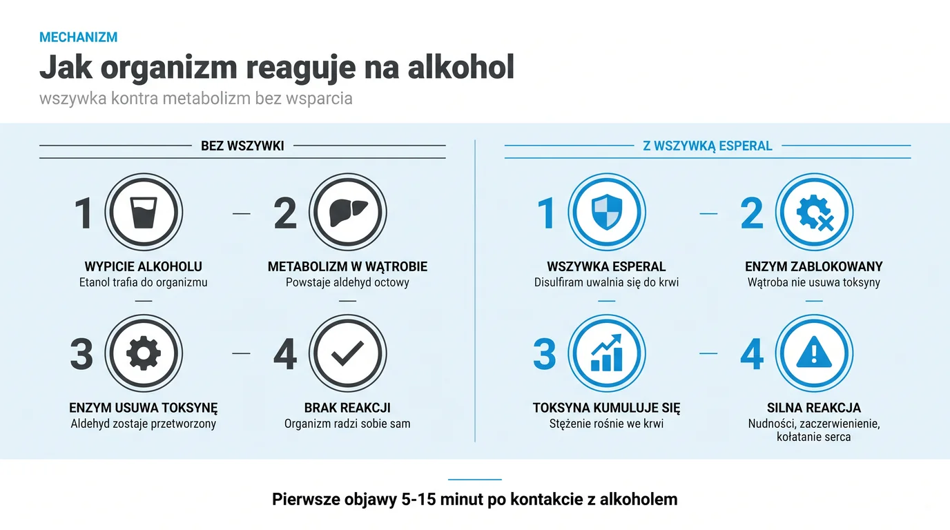 Mechanizm działania Disulfiramu w wszywce alkoholowej Esperal - porównanie metabolizmu alkoholu bez wszywki (etanol, dehydrogenaza aldehydowa, kwas octowy, brak objawów) z metabolizmem przy aktywnym implancie, gdzie Disulfiram blokuje enzym ALDH, aldehyd octowy kumuluje się we krwi i wywołuje reakcję awersyjną (nudności, kołatanie serca, ból głowy) w 5-15 minut od spożycia alkoholu - infografika dla pacjentów Nasz Gabinet Gdańsk