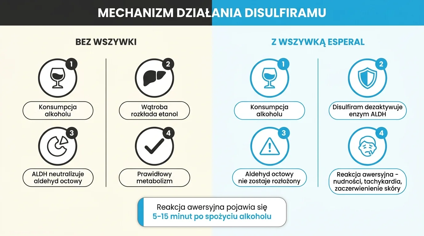 Mechanizm działania Disulfiramu w wszywce alkoholowej Esperal - porównanie metabolizmu alkoholu bez wszywki (etanol, dehydrogenaza aldehydowa, kwas octowy, brak objawów) z metabolizmem przy aktywnym implancie, gdzie Disulfiram blokuje enzym ALDH, aldehyd octowy kumuluje się we krwi i wywołuje reakcję awersyjną (nudności, kołatanie serca, ból głowy) w 5-15 minut od spożycia alkoholu - infografika dla pacjentów Nasz Gabinet Gdynia