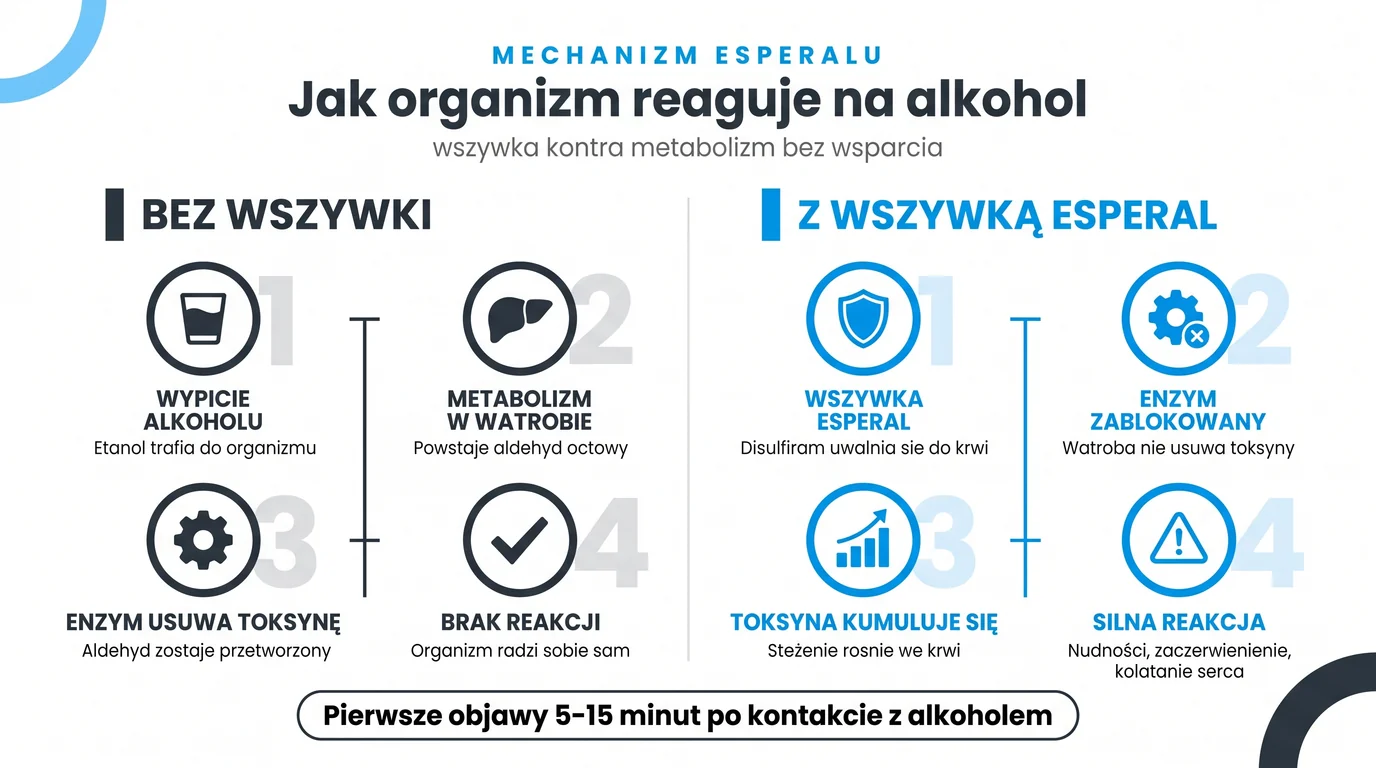 Mechanizm działania Disulfiramu w wszywce alkoholowej Esperal - porównanie metabolizmu alkoholu bez wszywki (etanol, dehydrogenaza aldehydowa, kwas octowy, brak objawów) z metabolizmem przy aktywnym implancie, gdzie Disulfiram blokuje enzym ALDH, aldehyd octowy kumuluje się we krwi i wywołuje reakcję awersyjną (nudności, kołatanie serca, ból głowy) w 5-15 minut od spożycia alkoholu - infografika dla pacjentów Nasz Gabinet Gliwice