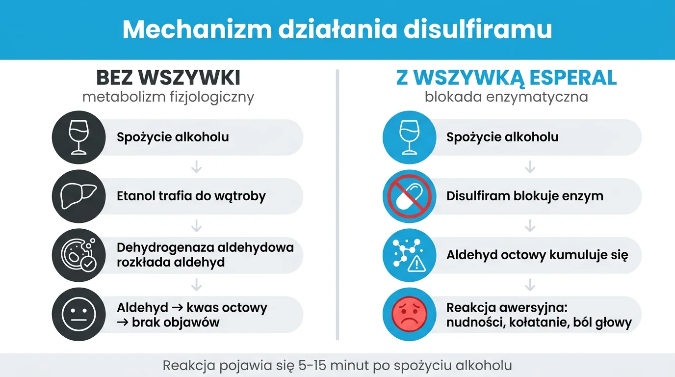 Mechanizm działania Disulfiramu w wszywce alkoholowej Esperal - porównanie metabolizmu alkoholu bez wszywki (etanol, dehydrogenaza aldehydowa, kwas octowy, brak objawów) z metabolizmem przy aktywnym implancie, gdzie Disulfiram blokuje enzym ALDH, aldehyd octowy kumuluje się we krwi i wywołuje reakcję awersyjną (nudności, kołatanie serca, ból głowy) w 5-15 minut od spożycia alkoholu - infografika dla pacjentów Nasz Gabinet Katowice