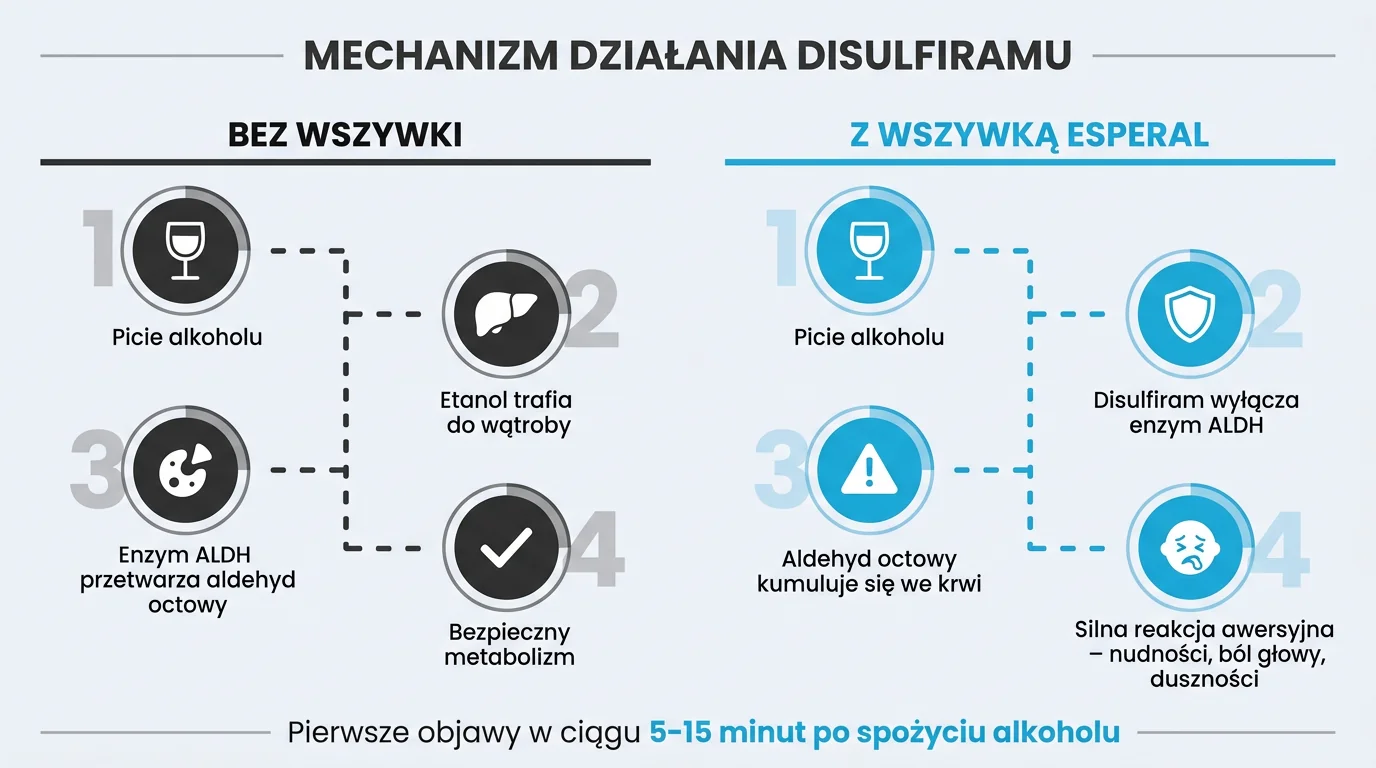 Mechanizm działania Disulfiramu w wszywce alkoholowej Esperal - porównanie metabolizmu alkoholu bez wszywki (etanol, dehydrogenaza aldehydowa, kwas octowy, brak objawów) z metabolizmem przy aktywnym implancie, gdzie Disulfiram blokuje enzym ALDH, aldehyd octowy kumuluje się we krwi i wywołuje reakcję awersyjną (nudności, kołatanie serca, ból głowy) w 5-15 minut od spożycia alkoholu - infografika dla pacjentów Nasz Gabinet Lublin