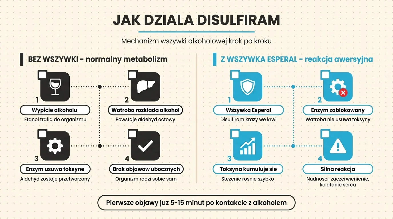 Mechanizm działania Disulfiramu w wszywce alkoholowej Esperal - porównanie metabolizmu alkoholu bez wszywki (etanol, dehydrogenaza aldehydowa, kwas octowy, brak objawów) z metabolizmem przy aktywnym implancie, gdzie Disulfiram blokuje enzym ALDH, aldehyd octowy kumuluje się we krwi i wywołuje reakcję awersyjną (nudności, kołatanie serca, ból głowy) w 5-15 minut od spożycia alkoholu - infografika dla pacjentów Nasz Gabinet Olsztyn