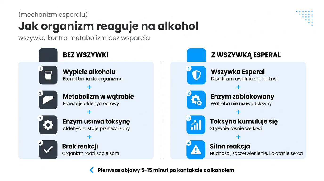 Mechanizm działania Disulfiramu w wszywce alkoholowej Esperal - porównanie metabolizmu alkoholu bez wszywki (etanol, dehydrogenaza aldehydowa, kwas octowy, brak objawów) z metabolizmem przy aktywnym implancie, gdzie Disulfiram blokuje enzym ALDH, aldehyd octowy kumuluje się we krwi i wywołuje reakcję awersyjną (nudności, kołatanie serca, ból głowy) w 5-15 minut od spożycia alkoholu - infografika dla pacjentów Nasz Gabinet Opole