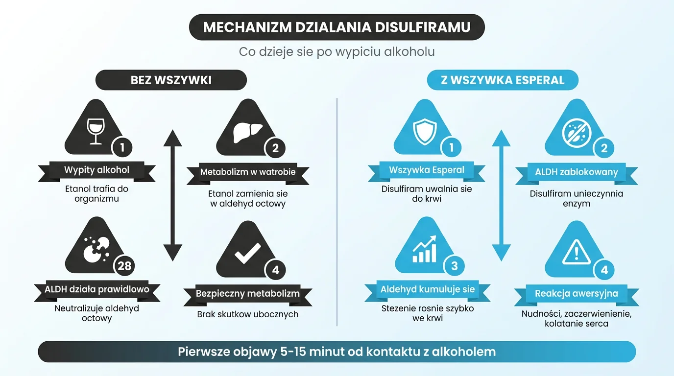 Mechanizm działania Disulfiramu w wszywce alkoholowej Esperal - porównanie metabolizmu alkoholu bez wszywki (etanol, dehydrogenaza aldehydowa, kwas octowy, brak objawów) z metabolizmem przy aktywnym implancie, gdzie Disulfiram blokuje enzym ALDH, aldehyd octowy kumuluje się we krwi i wywołuje reakcję awersyjną (nudności, kołatanie serca, ból głowy) w 5-15 minut od spożycia alkoholu - infografika dla pacjentów Nasz Gabinet Poznań