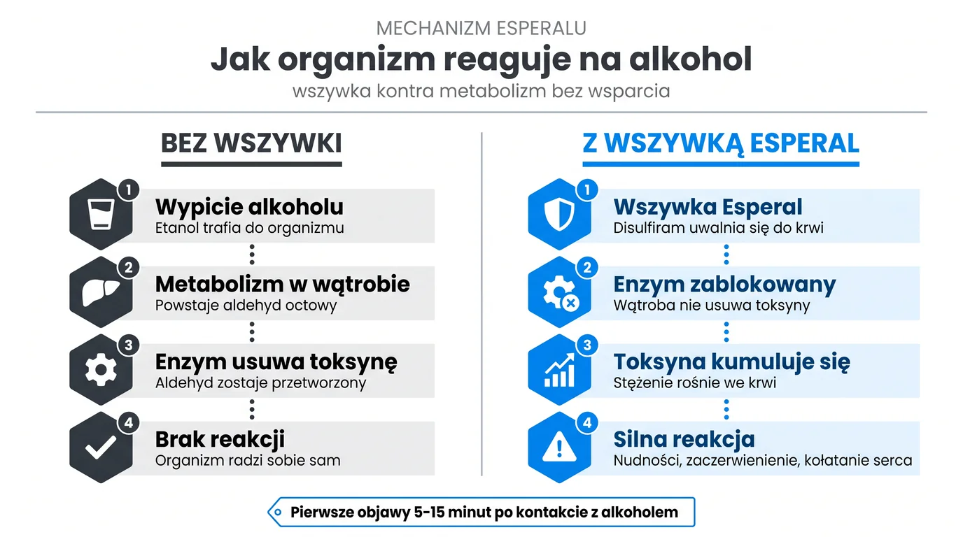 Mechanizm działania Disulfiramu w wszywce alkoholowej Esperal - porównanie metabolizmu alkoholu bez wszywki (etanol, dehydrogenaza aldehydowa, kwas octowy, brak objawów) z metabolizmem przy aktywnym implancie, gdzie Disulfiram blokuje enzym ALDH, aldehyd octowy kumuluje się we krwi i wywołuje reakcję awersyjną (nudności, kołatanie serca, ból głowy) w 5-15 minut od spożycia alkoholu - infografika dla pacjentów Nasz Gabinet Radom