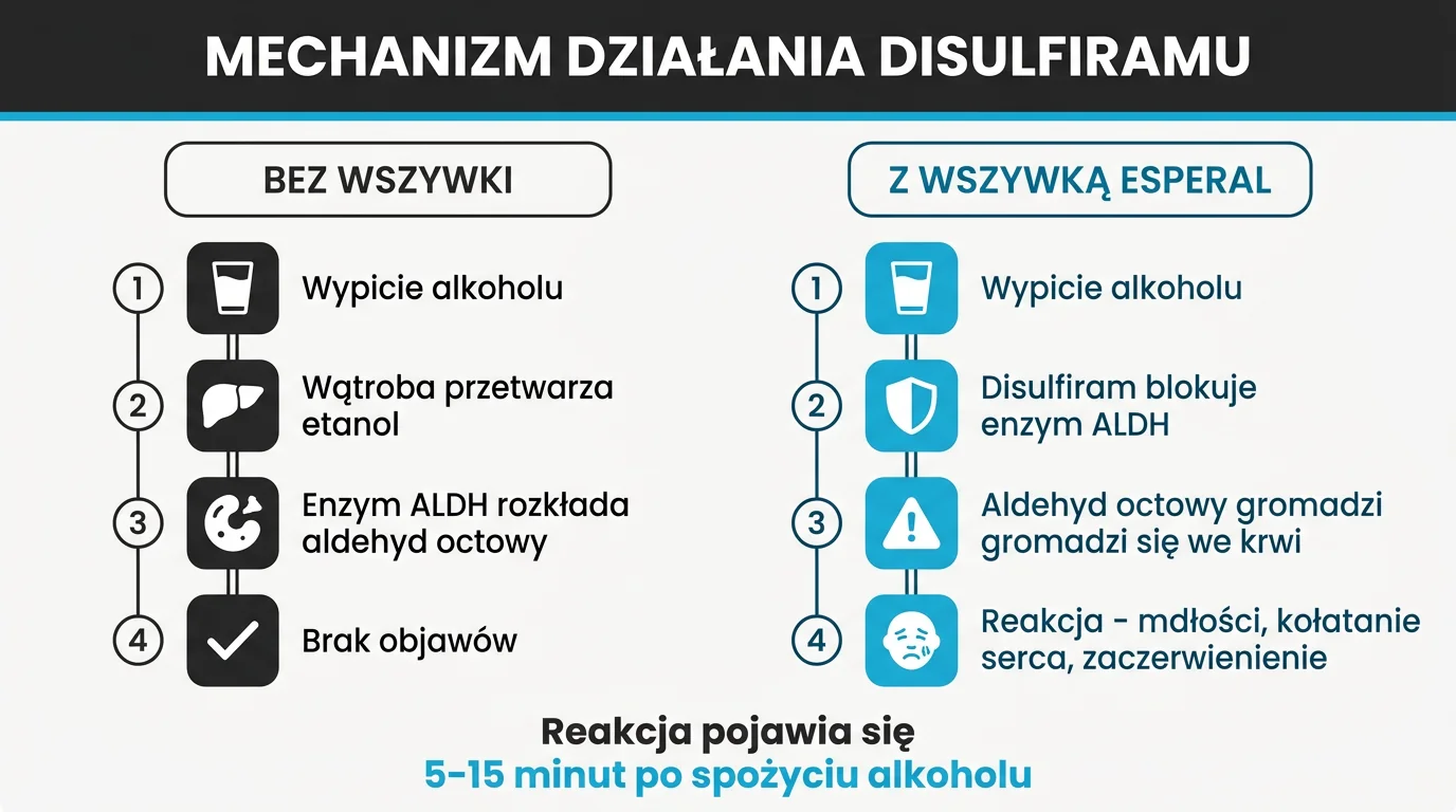 Mechanizm działania Disulfiramu w wszywce alkoholowej Esperal - porównanie metabolizmu alkoholu bez wszywki (etanol, dehydrogenaza aldehydowa, kwas octowy, brak objawów) z metabolizmem przy aktywnym implancie, gdzie Disulfiram blokuje enzym ALDH, aldehyd octowy kumuluje się we krwi i wywołuje reakcję awersyjną (nudności, kołatanie serca, ból głowy) w 5-15 minut od spożycia alkoholu - infografika dla pacjentów Nasz Gabinet Szczecin