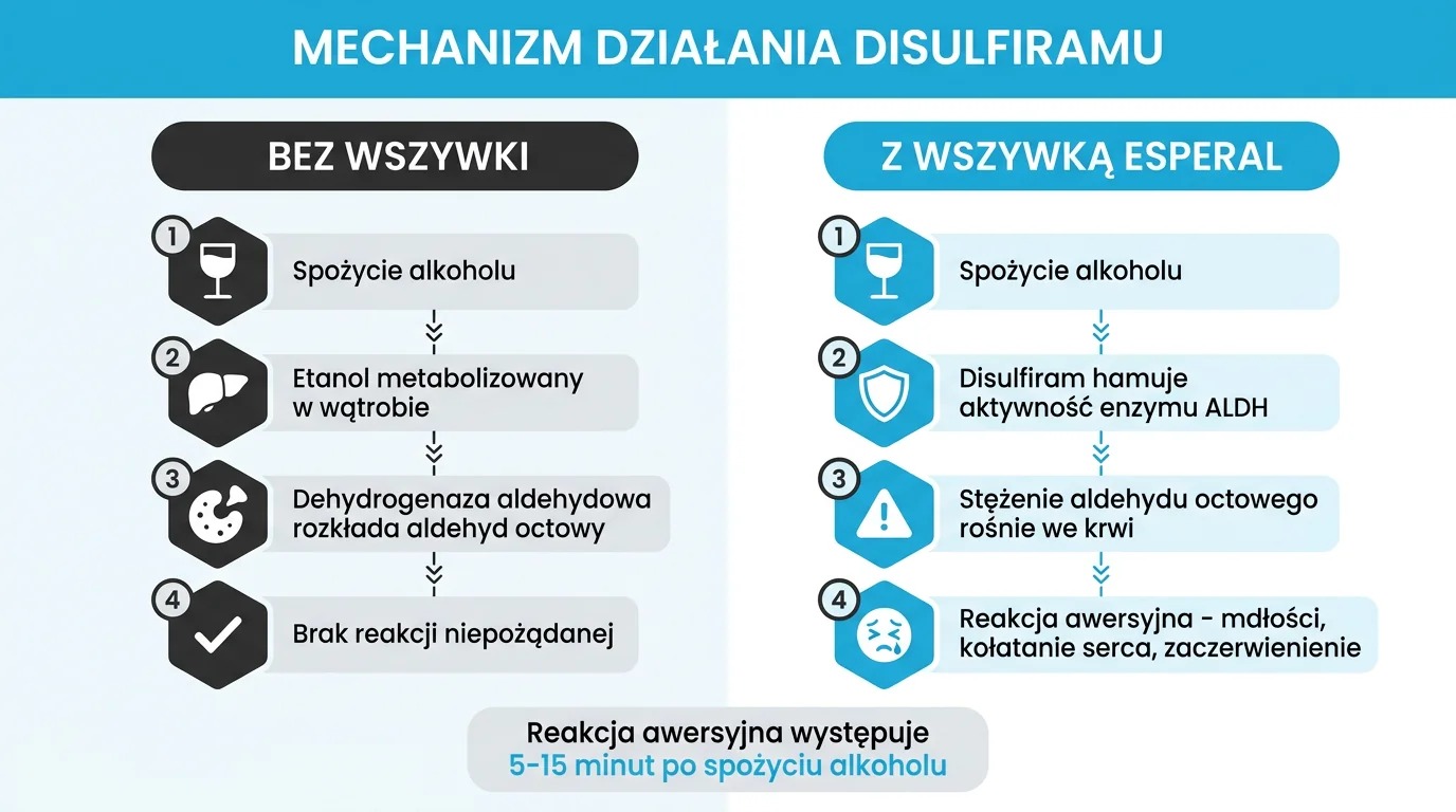 Mechanizm działania Disulfiramu w wszywce alkoholowej Esperal - porównanie metabolizmu alkoholu bez wszywki (etanol, dehydrogenaza aldehydowa, kwas octowy, brak objawów) z metabolizmem przy aktywnym implancie, gdzie Disulfiram blokuje enzym ALDH, aldehyd octowy kumuluje się we krwi i wywołuje reakcję awersyjną (nudności, kołatanie serca, ból głowy) w 5-15 minut od spożycia alkoholu - infografika dla pacjentów Nasz Gabinet Warszawa